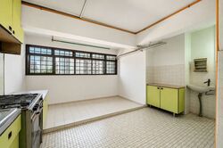 Holland Avenue (Queenstown),  #575951191